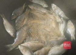 辣椒炒小鱼的做法图解5