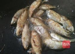 辣椒炒小鱼的做法图解9