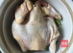 姜葱焗鸡的做法图解4
