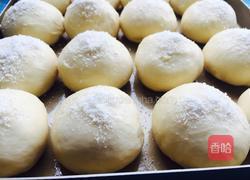 奶香蜜豆椰蓉包的做法图解14