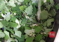 蒜蓉灰灰菜的做法图解3