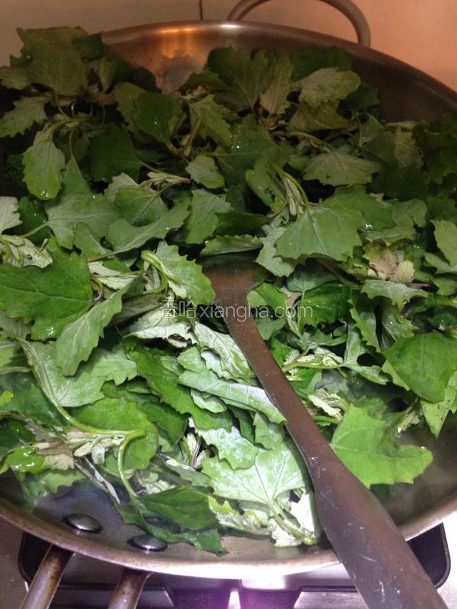 下入淘洗干净的灰灰菜。