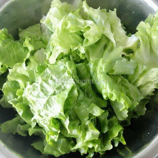 生菜洗干净切成合适的块