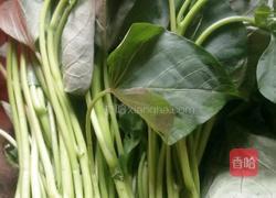 炒番薯苗的做法图解1