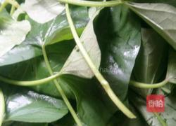 炒番薯苗的做法图解2