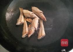 番茄鱼汤的做法图解4