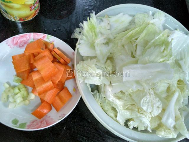 白菜撕小块，胡萝卜切片，葱切花。