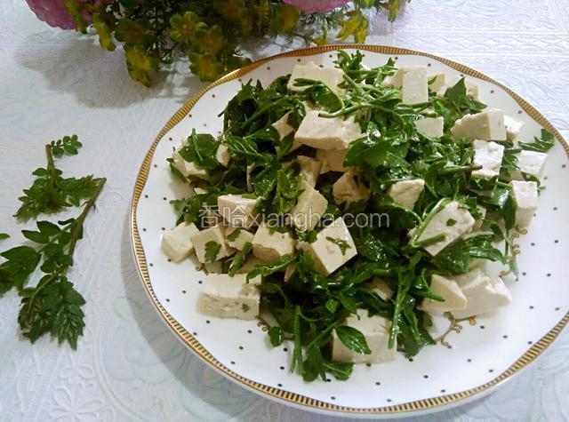花椒芽拌豆腐