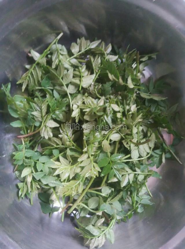花椒芽洗净