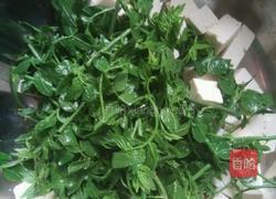 花椒芽拌豆腐的做法图解4