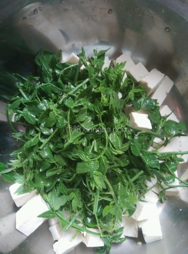 花椒芽和豆腐控干水分