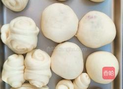 软面包的做法图解10