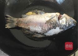 杂菇鲫鱼汤的做法图解2