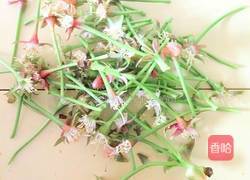 春之樱花酱的做法图解2