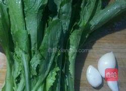 蒜香小白菜的做法图解1