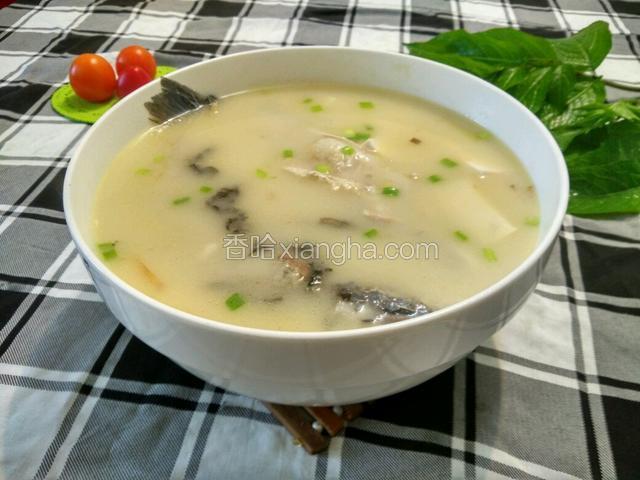 米浆鲫鱼豆腐汤