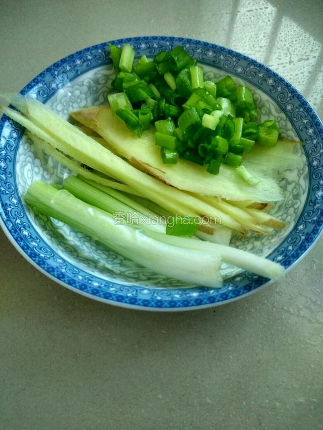 切姜丝、葱花葱段备用