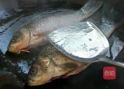 米浆鲫鱼豆腐汤的做法图解6