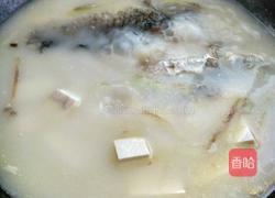 米浆鲫鱼豆腐汤的做法图解10