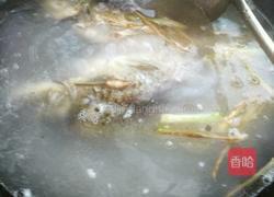 米浆鲫鱼豆腐汤的做法图解9