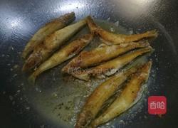 香辣沙丁鱼的做法图解4