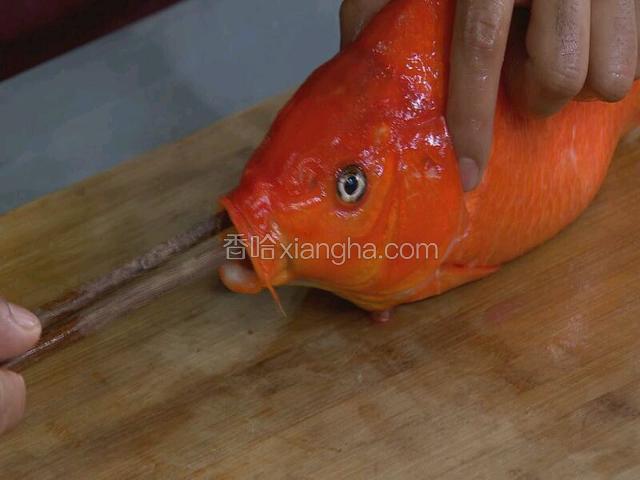筷子贯穿鱼身后，伸出