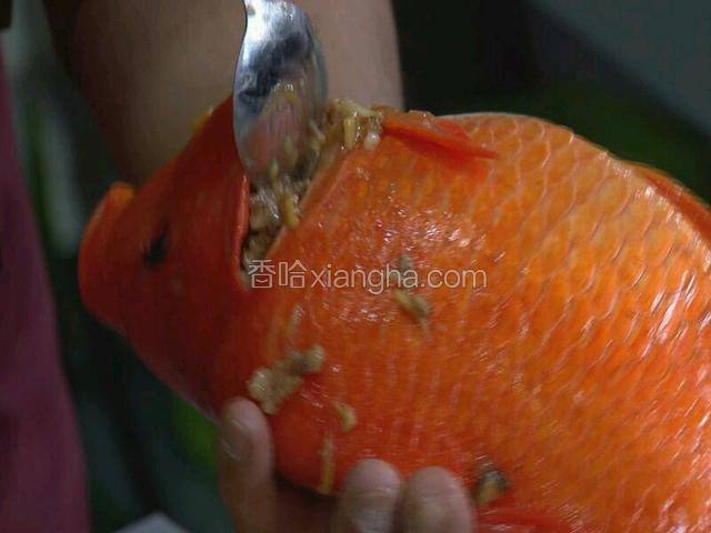 将炒好的肉馅塞满鱼肚子