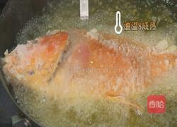 荷包红鲤鱼 CCTV7食尚大转盘的做法图解14