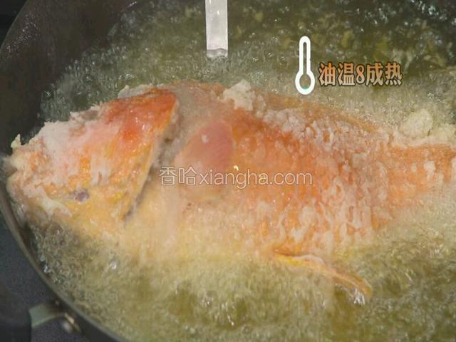 油温八成热的时候，鱼即可下锅炸制。