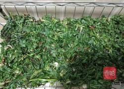 蒲公英茶的制作的做法图解4