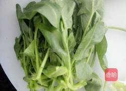 西红柿菠菜鸡蛋面的做法图解1