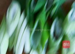 油爆猪肺子的做法图解7