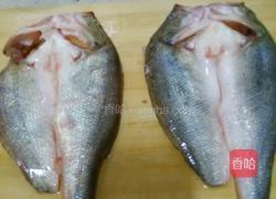 红烧鲈鱼的做法图解1