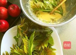 香椿料理的做法图解4
