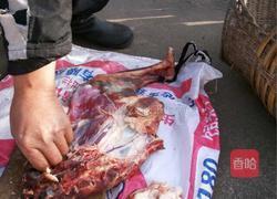 麻辣羊肉的做法图解2