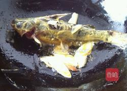 黄辣丁平菇豆腐汤的做法图解7