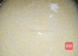 小米瘦肉藤蒿疙瘩汤的做法图解4