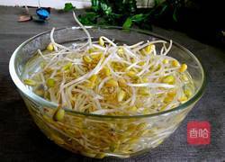 青蒜炒黄豆芽的做法图解3