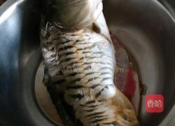 红烧鲤鱼块的做法图解1