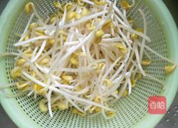 黄豆芽煎豆腐的做法图解1