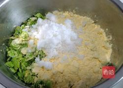 榆钱玉米面饼的做法图解3