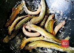 泥鳅豆腐汤的做法图解1