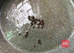 洋葱炒千叶豆腐的做法图解6