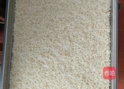 糯米烧麦的做法图解1