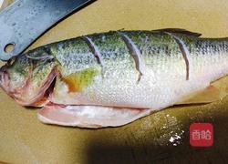 葱香茄汁焖鲈鱼的做法图解5