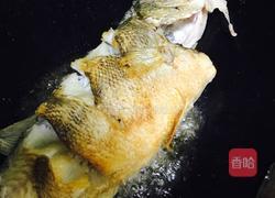 葱香茄汁焖鲈鱼的做法图解12