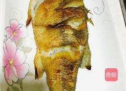 葱香茄汁焖鲈鱼的做法图解14