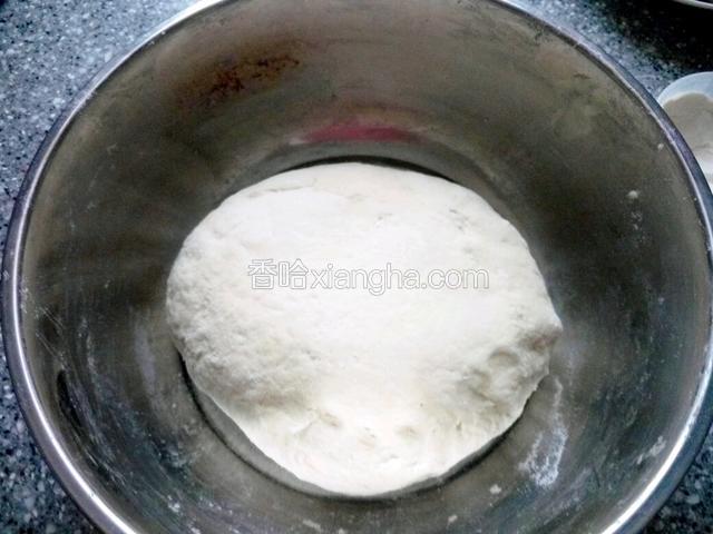 合好面团盖好，一小时后就起了。