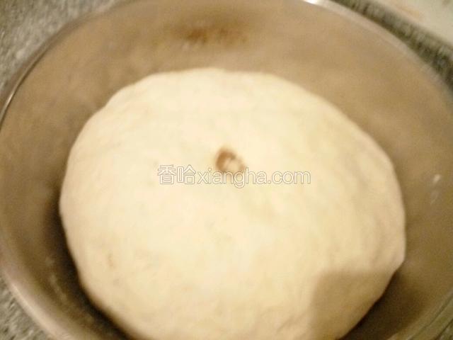 发好的面团用手指点一下不回缩了就可以了。