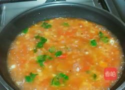 南美风味墨西哥玉米片番茄辣椒酱dorito salsa的做法图解6